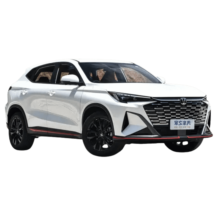کفپوش چرمی چانگان x5